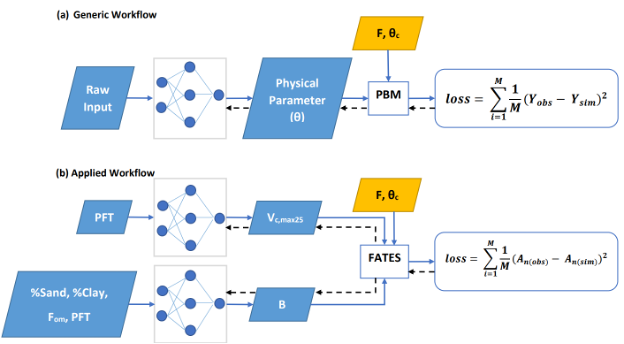 A differentiable physics-informed ecosystem model